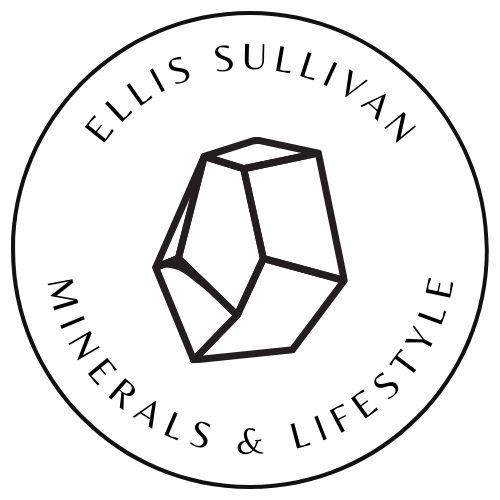 Ellis Sullivan | Professional Overview